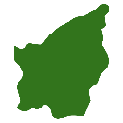 サンマリノ共和国無料フリーイラスト｜無地(緑)